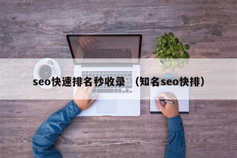 seo快速排名软件对于网站排名起到治标不治本